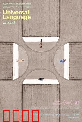 共同的语言：心灵桥梁