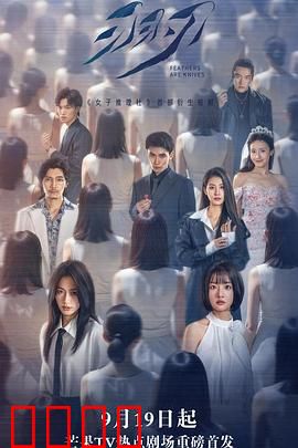 羽刃：轻如鸿毛的杀机