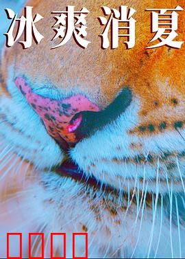 寒冰白血：绝境求生