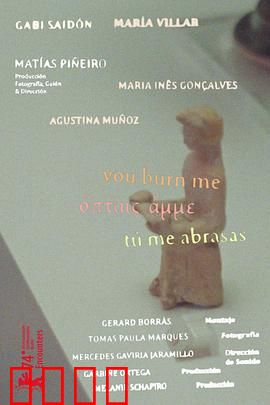 你燃烧了我：烈焰之恋