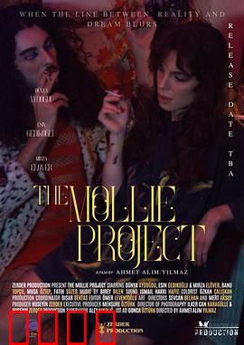 莫莉计划：AI少女的觉醒