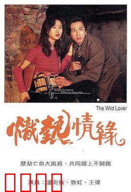 炽热情缘粤语：烈火中的重逢