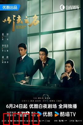 以法之名：正义较量