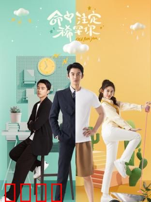 命中注定稀罕你：错位爱恋