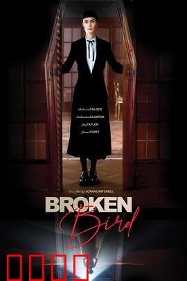 折翼鸟：破碎翅膀的飞翔