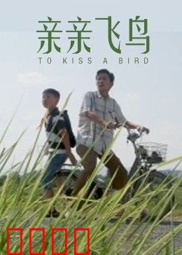 亲亲飞鸟：爱与自由的翅膀