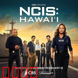 海军罪案调查处：铁血探案