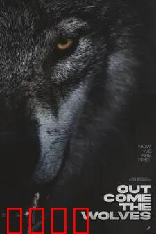 狼群出动：群狼战术