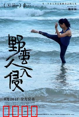 野蛮人入侵：失忆特工觉醒