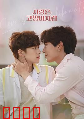 爱情像猫一样：自由与依赖的博弈