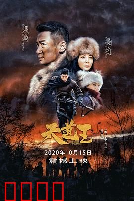 天道王：铁血抗联