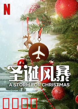 圣诞风暴：雪夜惊魂