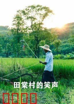 田棠村的笑声：致富路上的欢乐