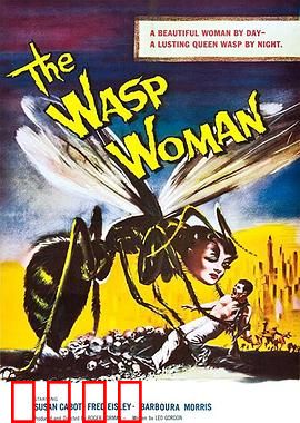 黄蜂女：巾帼英雄展翅高飞