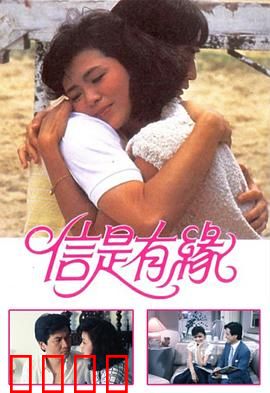 信是有缘粤语：命运邂逅