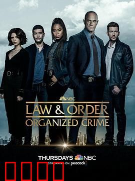 法律与秩序：正义审判