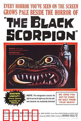 黑蝎：沙漠巨蝎的复仇