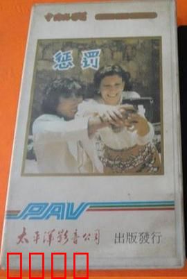 惩罚1980：正义迟到的代价