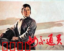 女交通员：丛林枪声