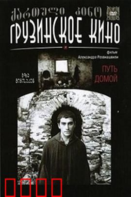 返乡之路：归途新篇