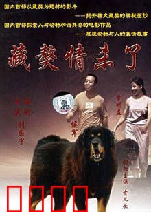 藏獒情未了：忠犬守护一生