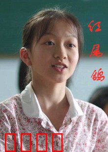 红尾鸽：绝境反杀