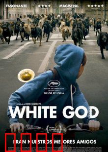 白色上帝：狗的复仇与救赎