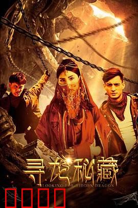 寻龙秘藏：古墓诡影