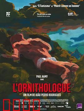 鸟类学家：迷失森林的神秘邂逅