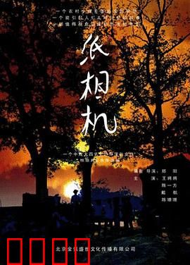 纸相机：童年的奇迹