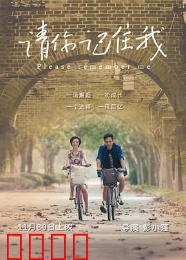 请你记住我：记忆中的爱恋