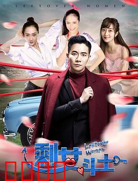 剩女斗士：反婚逆袭人生