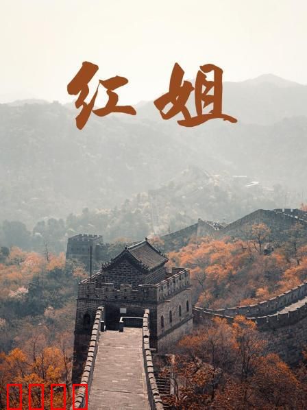 红姐2017：黑帮女王的复仇