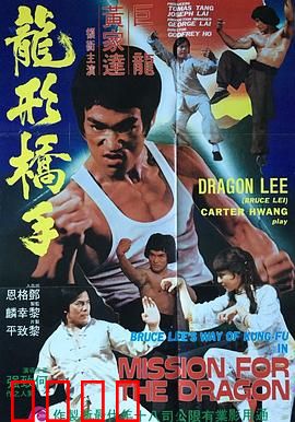 鹰拳：复仇之路