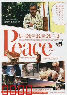 完全和平手册：战争与和平反思