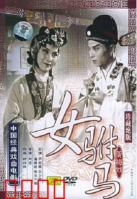 女驸马：智勇双全的奇女子