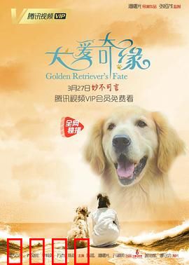 犬爱奇缘：跨越物种的深情羁绊