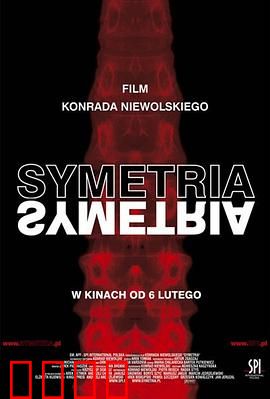 对称：镜中迷局