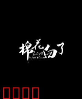 棉花白了：那片纯白背后的辛酸