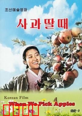 摘苹果的时候：丰收背后的故事