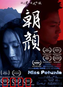 朝颜：牵牛花下的守候