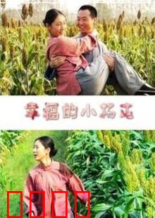 幸福的小杨屯：田园喜剧新篇章