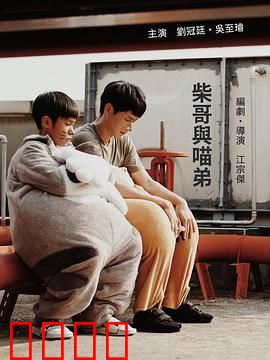 柴哥与喵弟：人狗猫大冒险