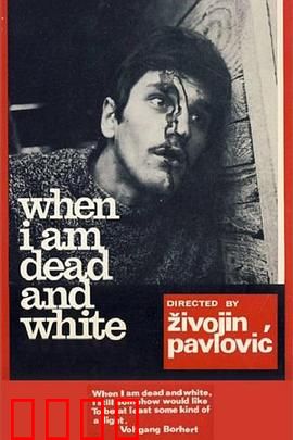 当我死后：灵魂迷局