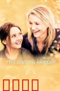 姐姐的守护者：为爱抗争的权利