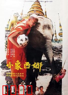 小象西娜：逆境重生