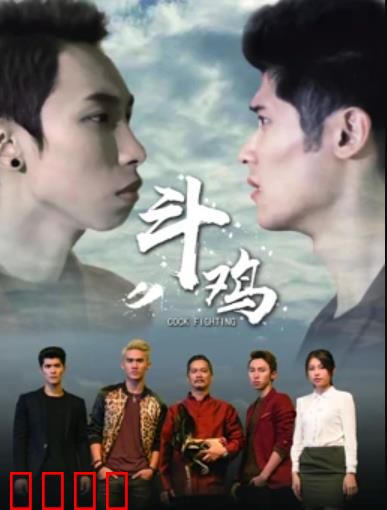 斗鸡：草根逆袭