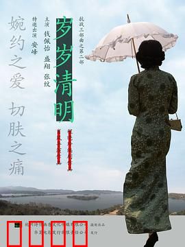 岁岁清明：血泪交织的家族悲歌