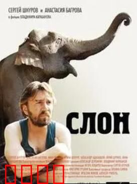 大象菩提：智慧与轮回