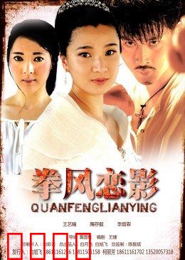 拳风恋影：铁拳与舞步